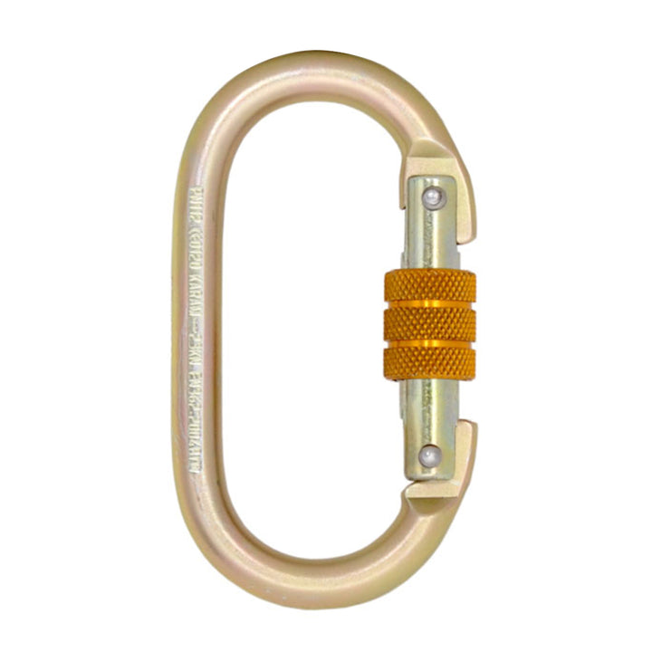 Economy Steel Screw Gate Karabiner