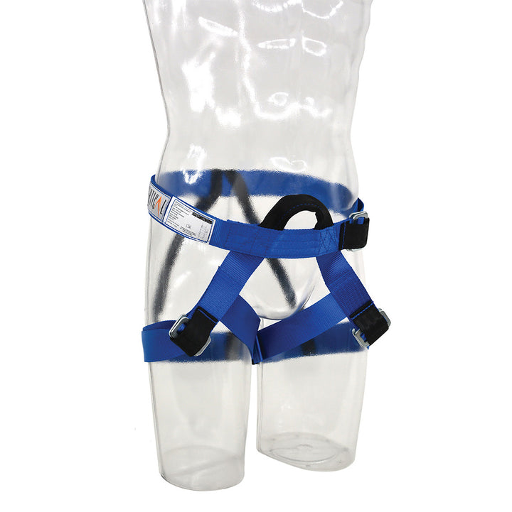 Lower Body Recreational Gym Harness